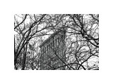 Veiled Flatiron Building