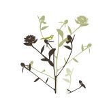 Buy Something in the Air at AllPosters.com