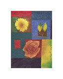 Buy Serendipity at AllPosters.com