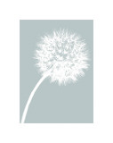 Dandelion Tilt (blue)