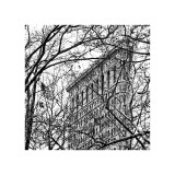 Veiled Flatiron Building (detail)