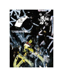 Black Bee Tag