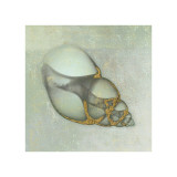 Buy Neptune's Garden III at AllPosters.com