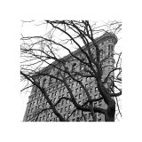Flatiron with Tree (detail)