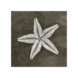 Buy Coastal Heirloom at AllPosters.com