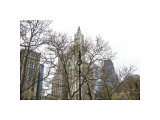 Woolworth Building from City Hall Park
