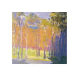 Clearing Capriccio, c.2001