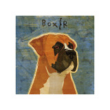 Boxer