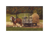 Buy Amish Harvest at AllPosters.com