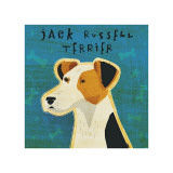 Jack Russell Terrier
