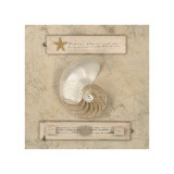 Buy Nautilus Journal at AllPosters.com