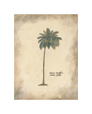 Buy Cocoa Palm at AllPosters.com