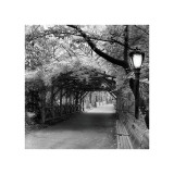 Central Park Pergola