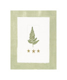 Buy Starfish Botanical I at AllPosters.com