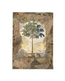 Buy Lace and Papaya at AllPosters.com