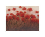 Buy Poppy Fortune at AllPosters.com
