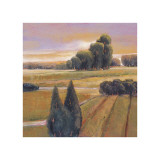 Buy Summer Cypress at AllPosters.com
