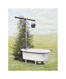 Buy Bird Bath at AllPosters.com