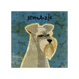 Schnauzer