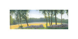 Buy Stone Wall at AllPosters.com