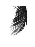Palms, no. 8