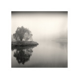 Tree, Study, no. 9
