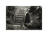 Moon Bridge in Tea Garden