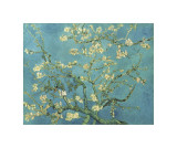 Almond Branches in Bloom, San Remy, c.1890
