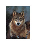 Buy Woodland Pride, Montana at AllPosters.com