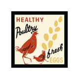 Buy Healthy Poultry-Fresh Eggs at AllPosters.com