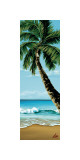 Buy Shady Beach at AllPosters.com