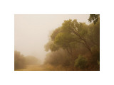 Buy Park Street Path at AllPosters.com