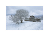 Buy Icicle Magic at AllPosters.com