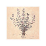 Buy Scent of Thyme at AllPosters.com