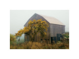 Buy Golden Promises at AllPosters.com