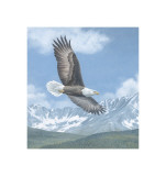 Buy Soaring High at AllPosters.com