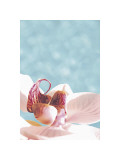 Buy Palm Beach I at AllPosters.com