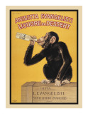 Anisetta Evangelisti