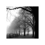 Black and White Morning