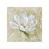 Buy Present Moment at AllPosters.com