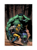 Incredible Hulk #80 Cover: Wolverine and Hulk