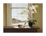 Orchids with Teapots