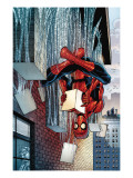 Amazing Spider-Man Family #3 Cover: Spider-Man