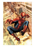 The Amazing Spider-Man #549 Cover: Spider-Man