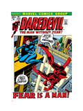 Buy Daredevil #100 Cover: Daredevil and Black Widow at AllPosters.com