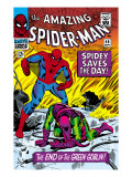 Dark Reign: The Goblin Legacy One-Shot Cover: Spider-Man Fighting