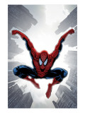 The Amazing Spider-Man #552 Cover: Spider-Man
