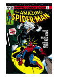 Amazing Spider-Man #194 Cover: Spider-Man and Black Cat