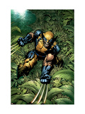 New Avengers #5 Cover: Wolverine Crouching