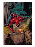 The Amazing Spider-Man #581 Cover: Spider-Man